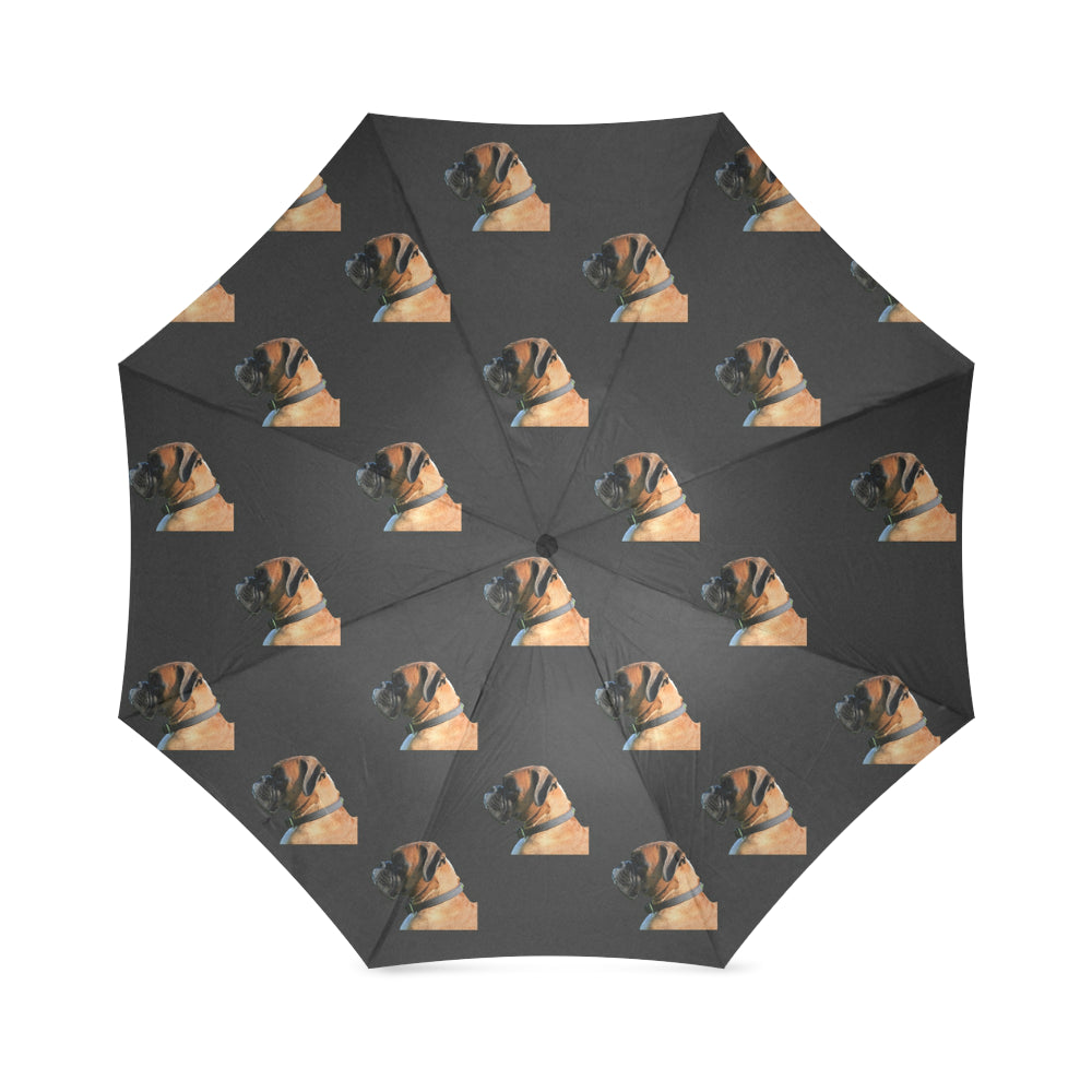 Boxer Umbrella