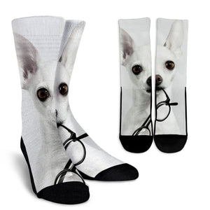 Chihuahua Socks
