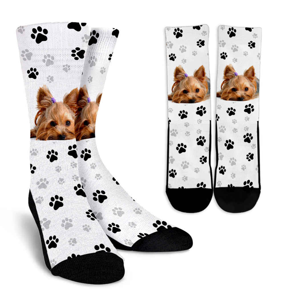 Yorkie & Paws Socks