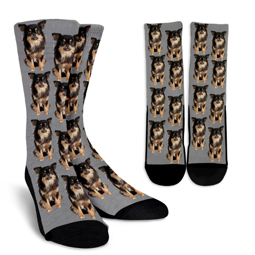 Chihuahua Socks