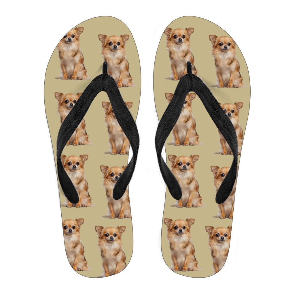 Chihuahua Flip Flops