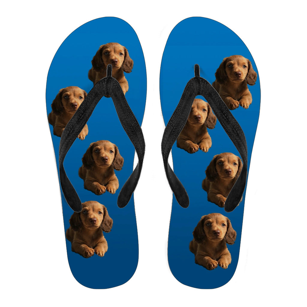 Dachshund Flip Flops