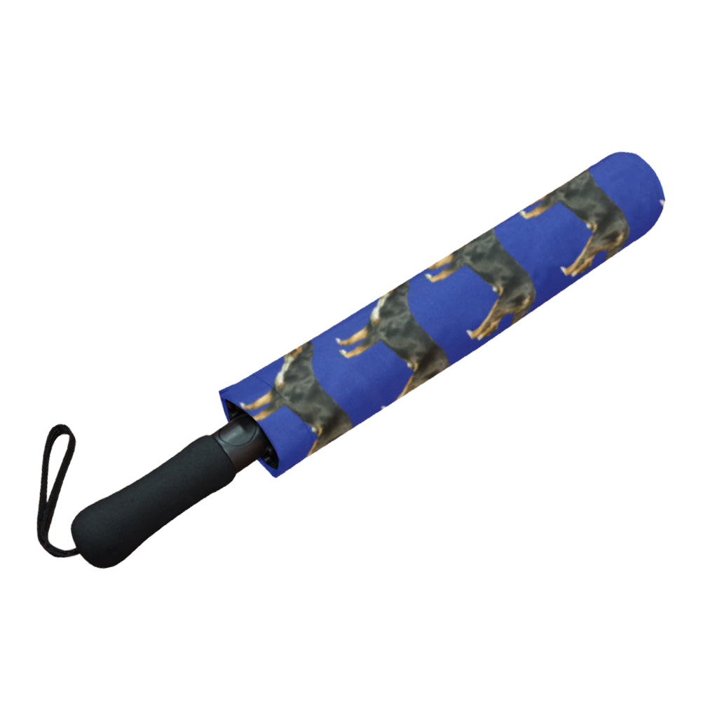 Swiss Mountain Dog Umbrella