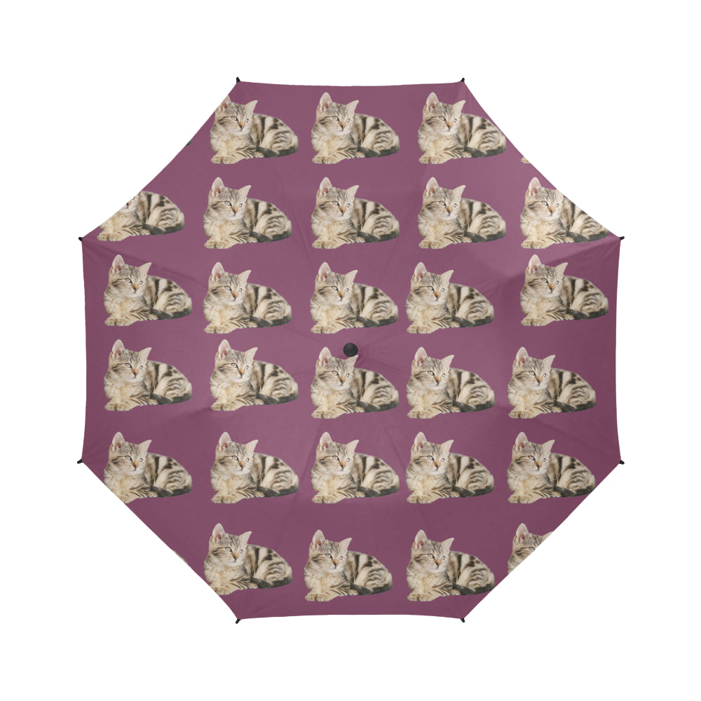 Tabby Cat Umbrella