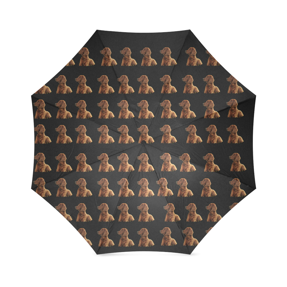 Irish Setter Umbrella - Black