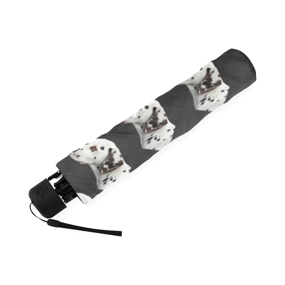 Dalmatian Umbrella