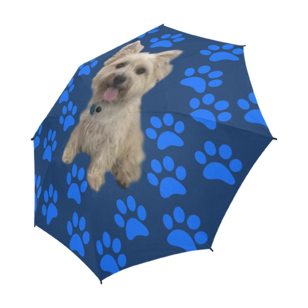 Cairn Terrier Umbrella - Paw Print