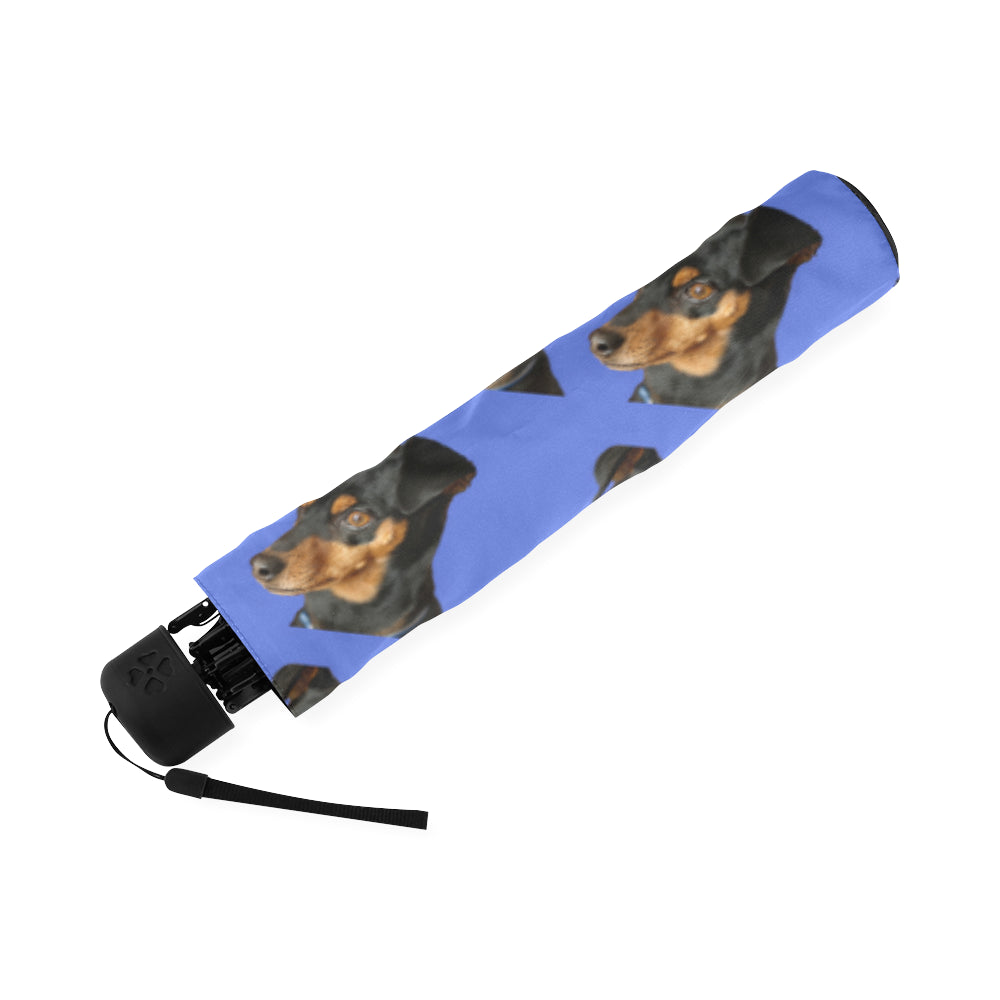 Pinscher Umbrella - Mini Blue