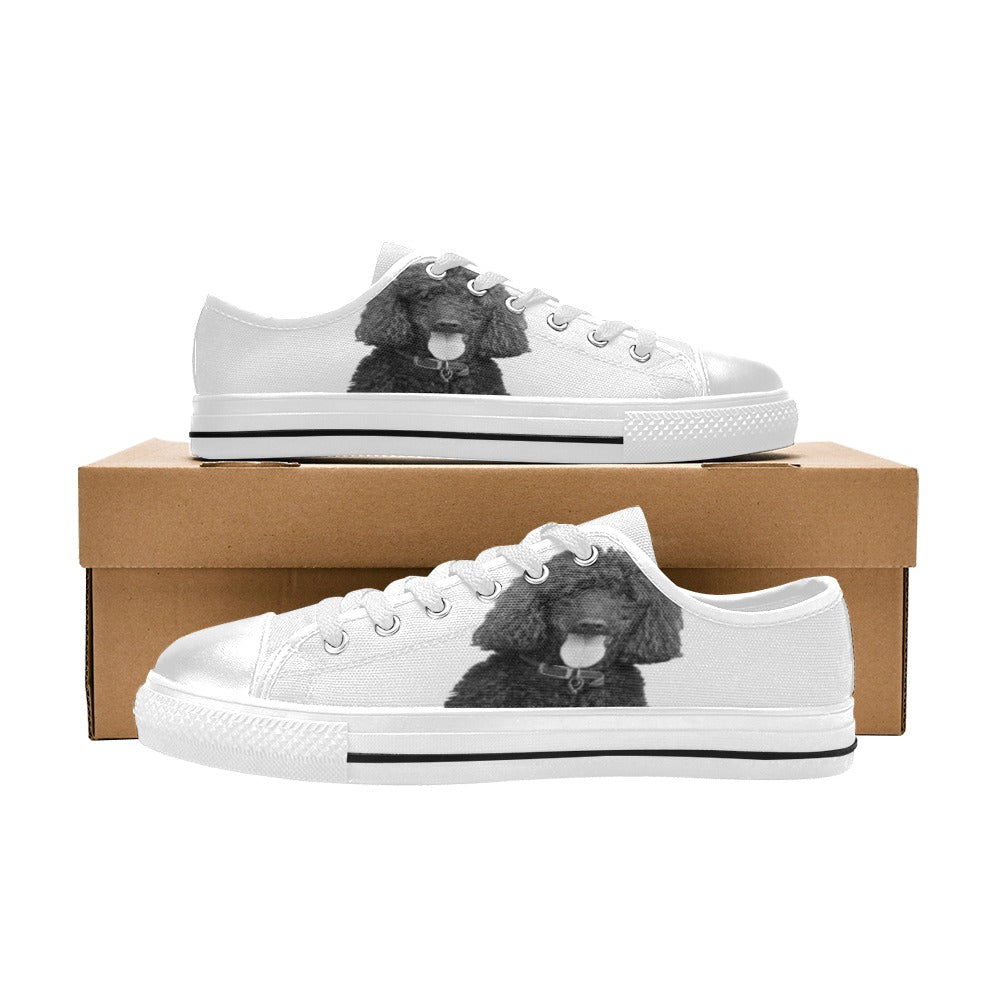 Standard Poodle Canvas Shoes - Low Tops