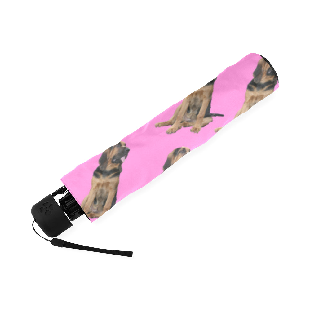 Bloodhound Umbrella - Pink