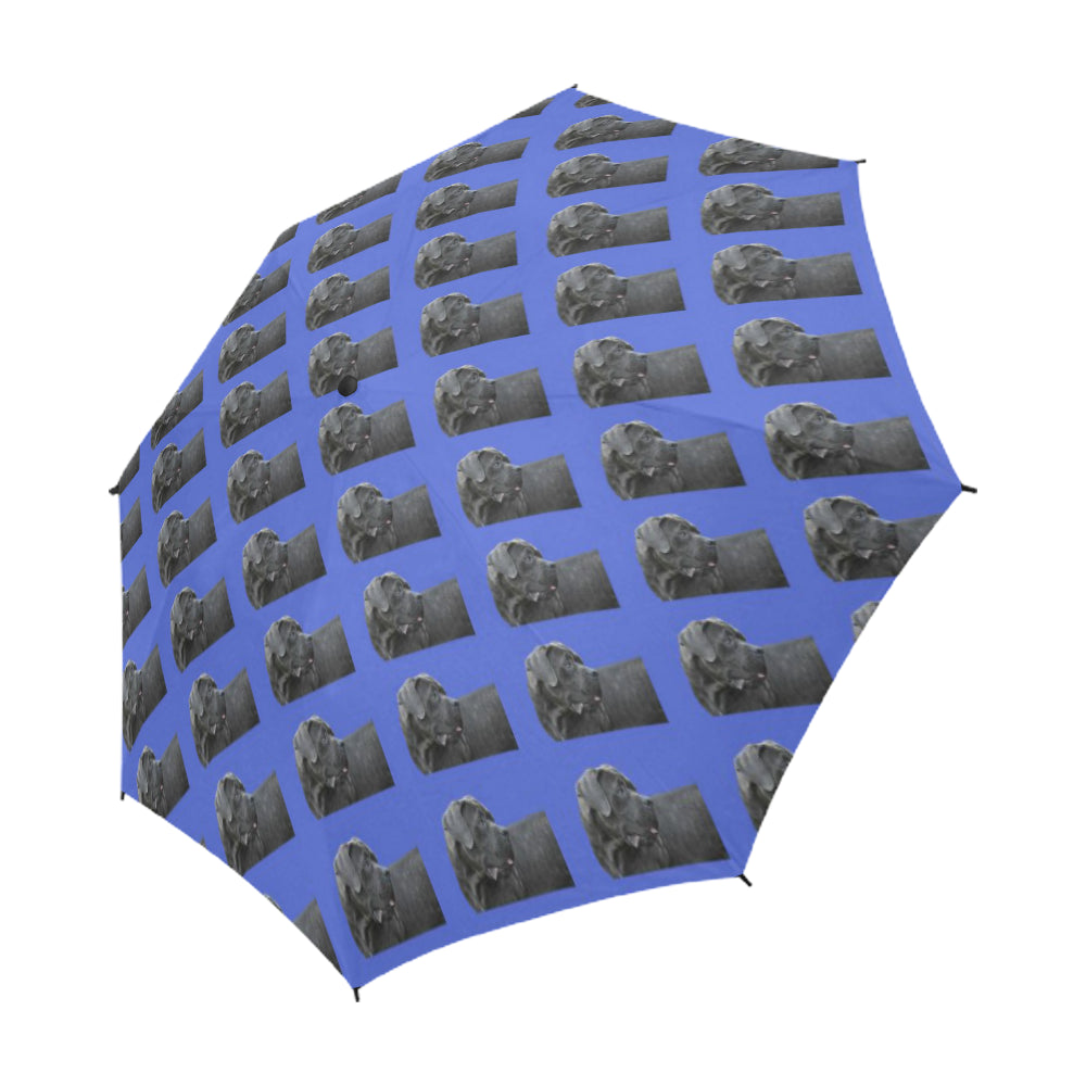 Cane Corso/Italian Mastiff Umbrella - Semi Automatic