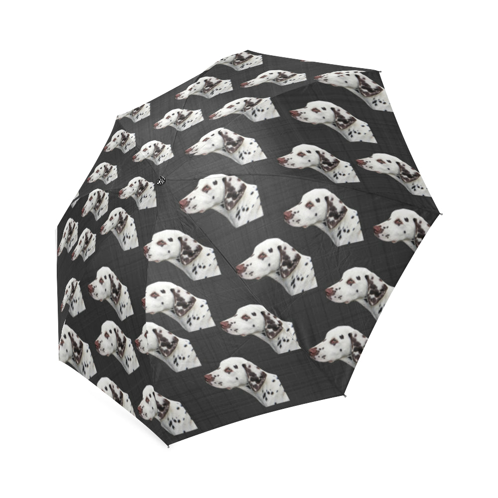 Dalmatian Umbrella
