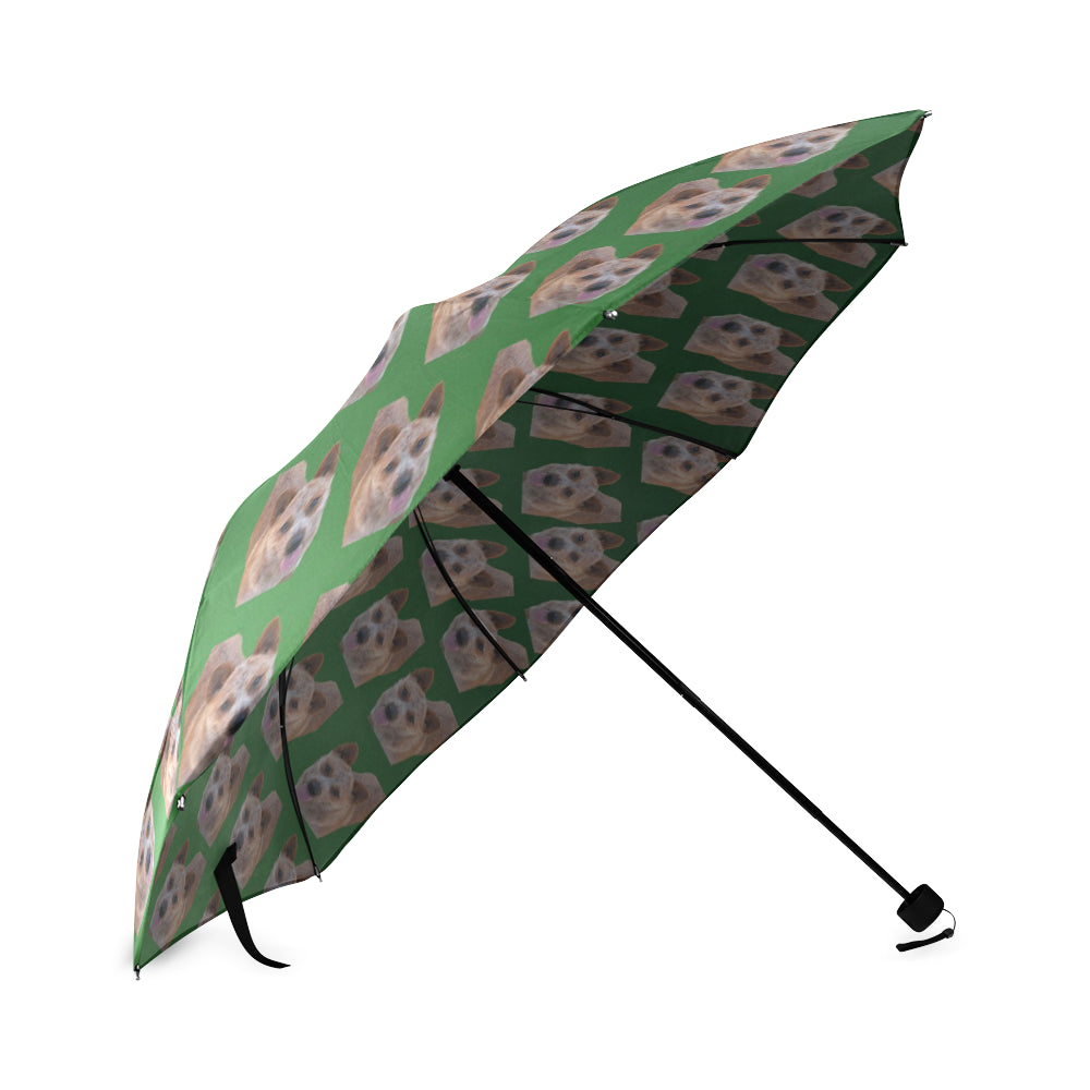 Australian Cattle Dog Umbrella