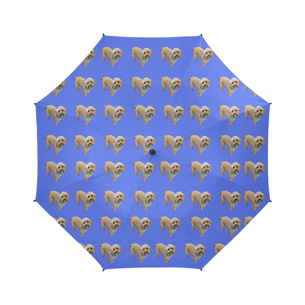 Rossie Umbrella