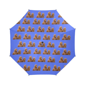 Poodle Umbrella - Brown Standard