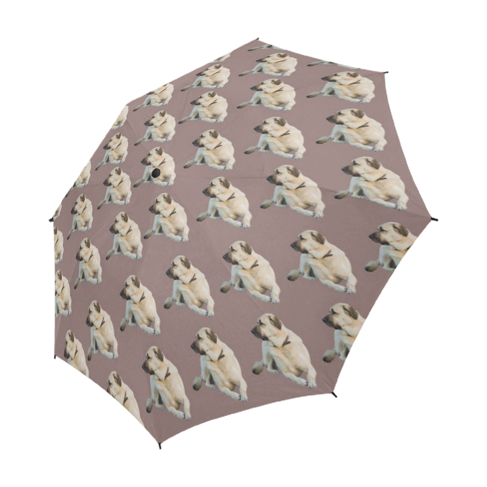 Anatolian Shepherd Umbrella - Semi Automatic