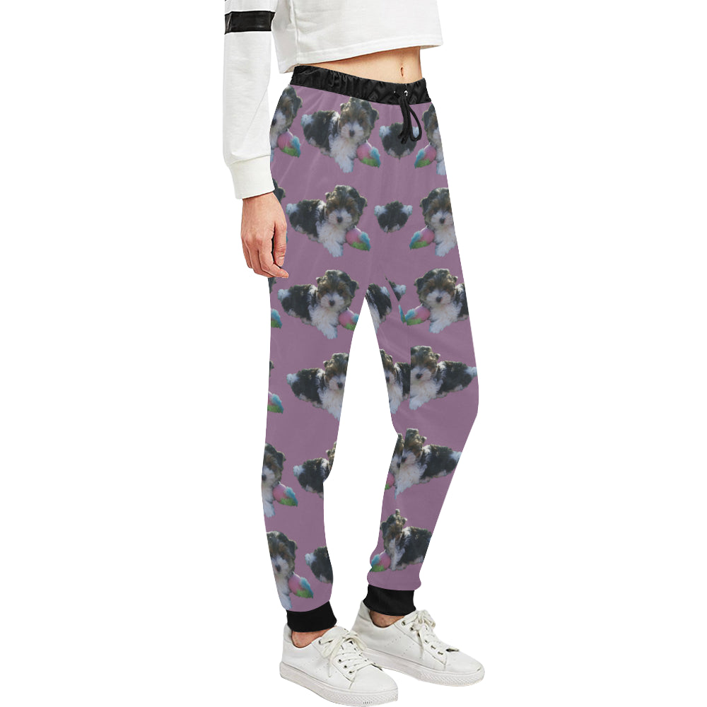 Biewer Terrier Pants