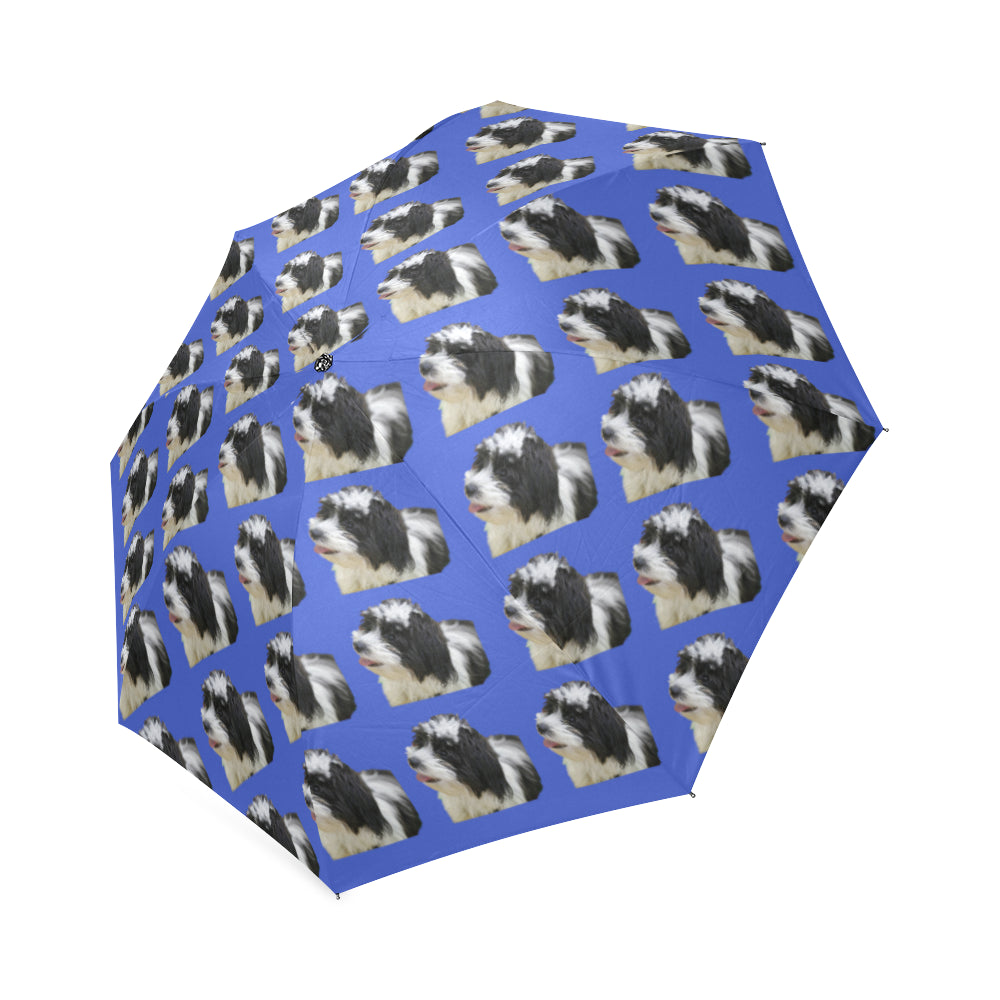 Havanese Black &amp; White Umbrella