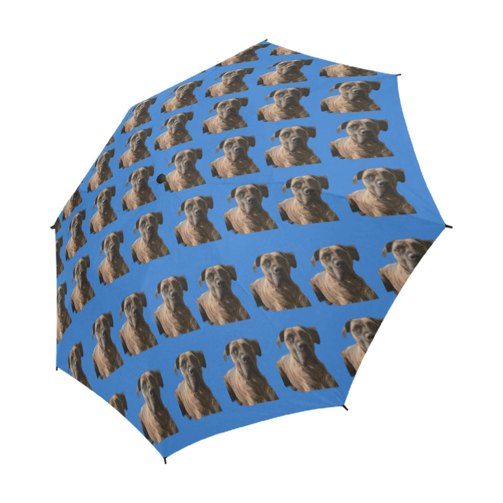 Boerboel/South African Mastiff Umbrella