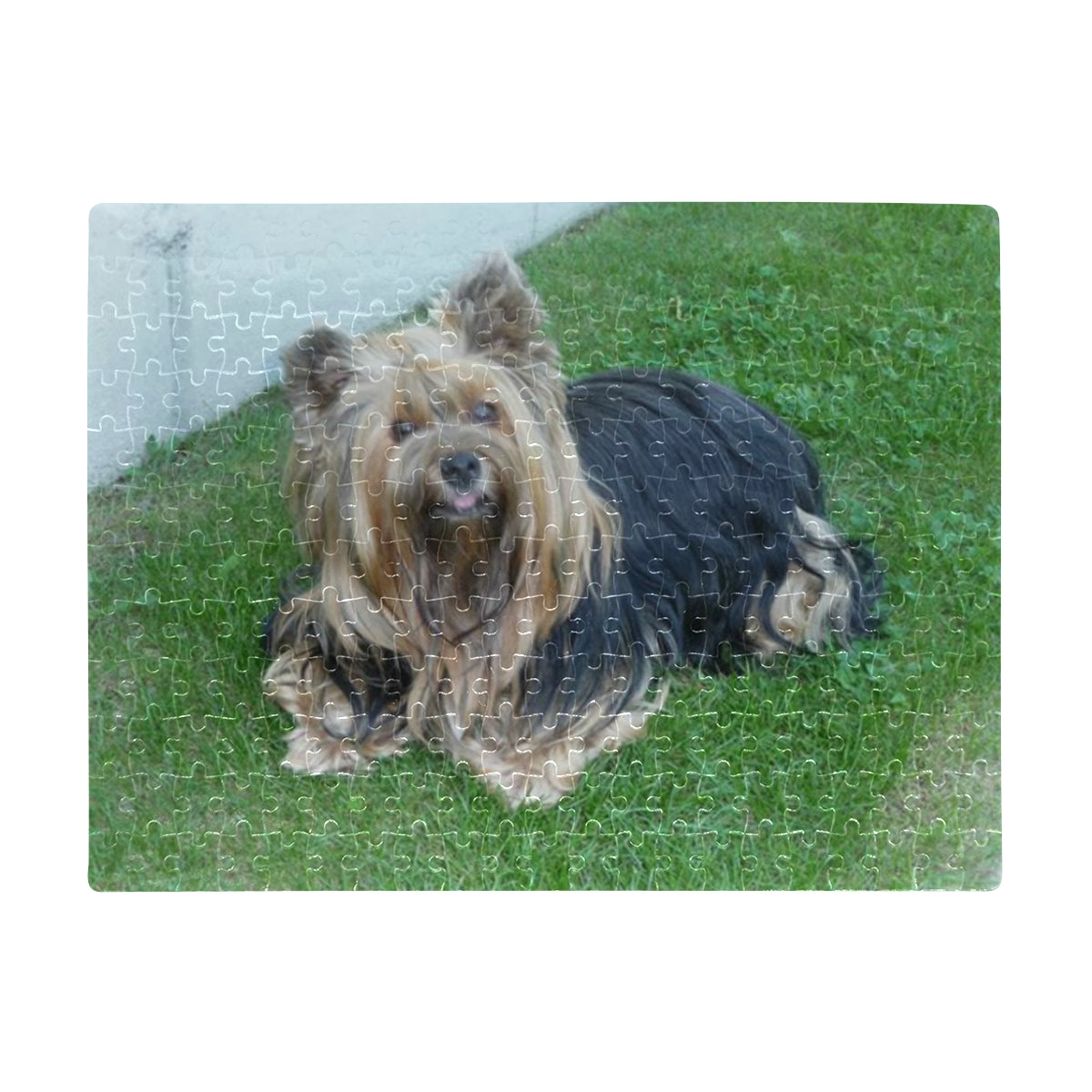 Yorkie Jigsaw Puzzle - 252 pcs Candy