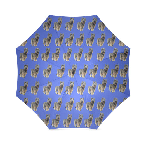Briard Umbrella