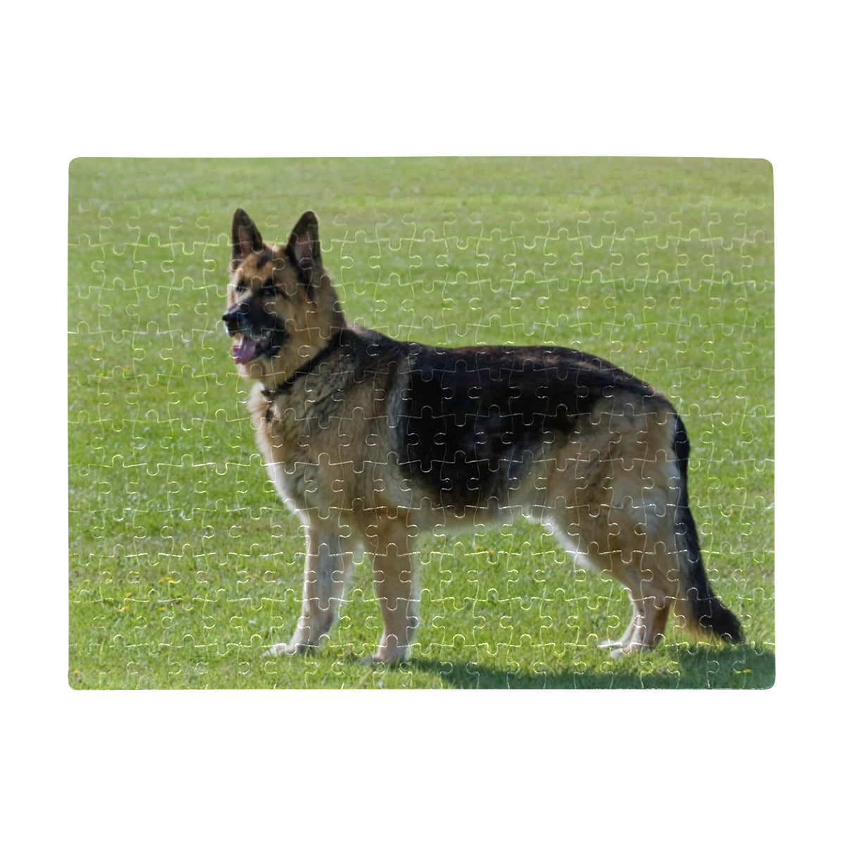 German Shepherd Jigsaw Puzzle -252 pcs