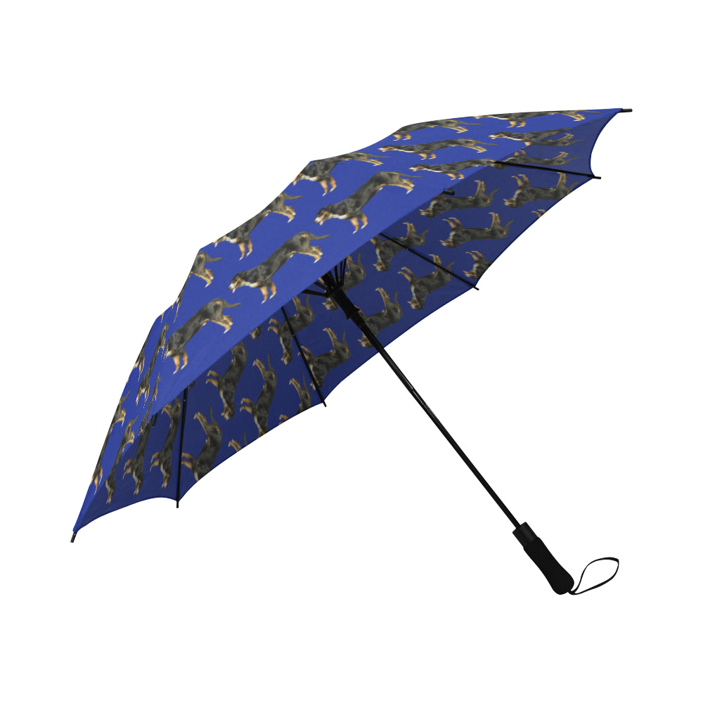 Swiss Mountain Dog Umbrella