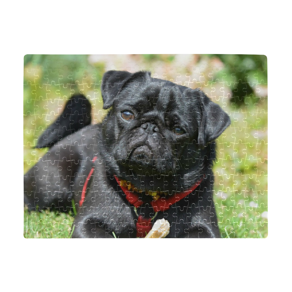 Pug Puzzle - 252 pcs Black