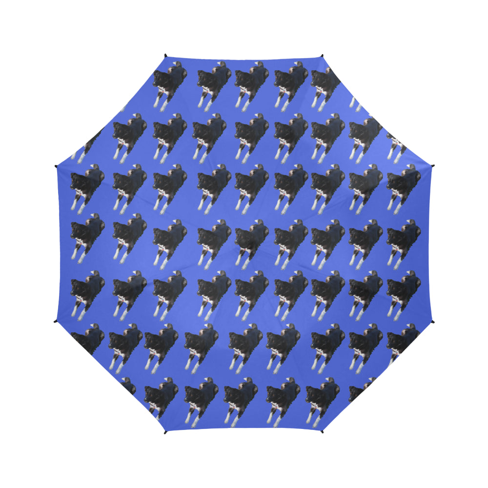 Border Collie Husky Mix Umbrella