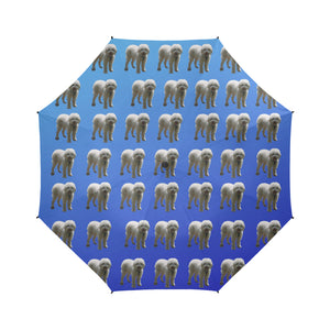 Lagooto Umbrella