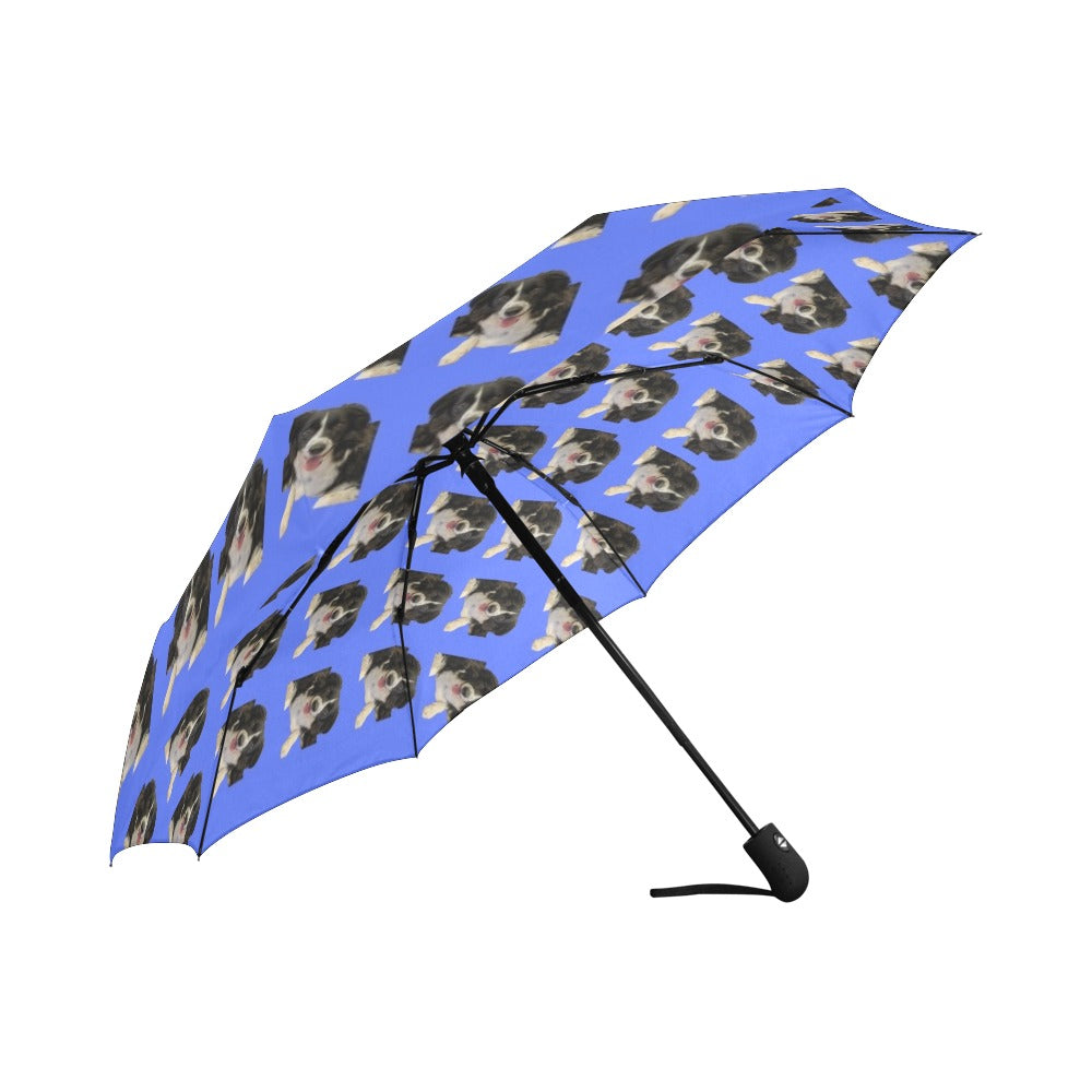 Border Collie Umbrella - Automatic Suzanna