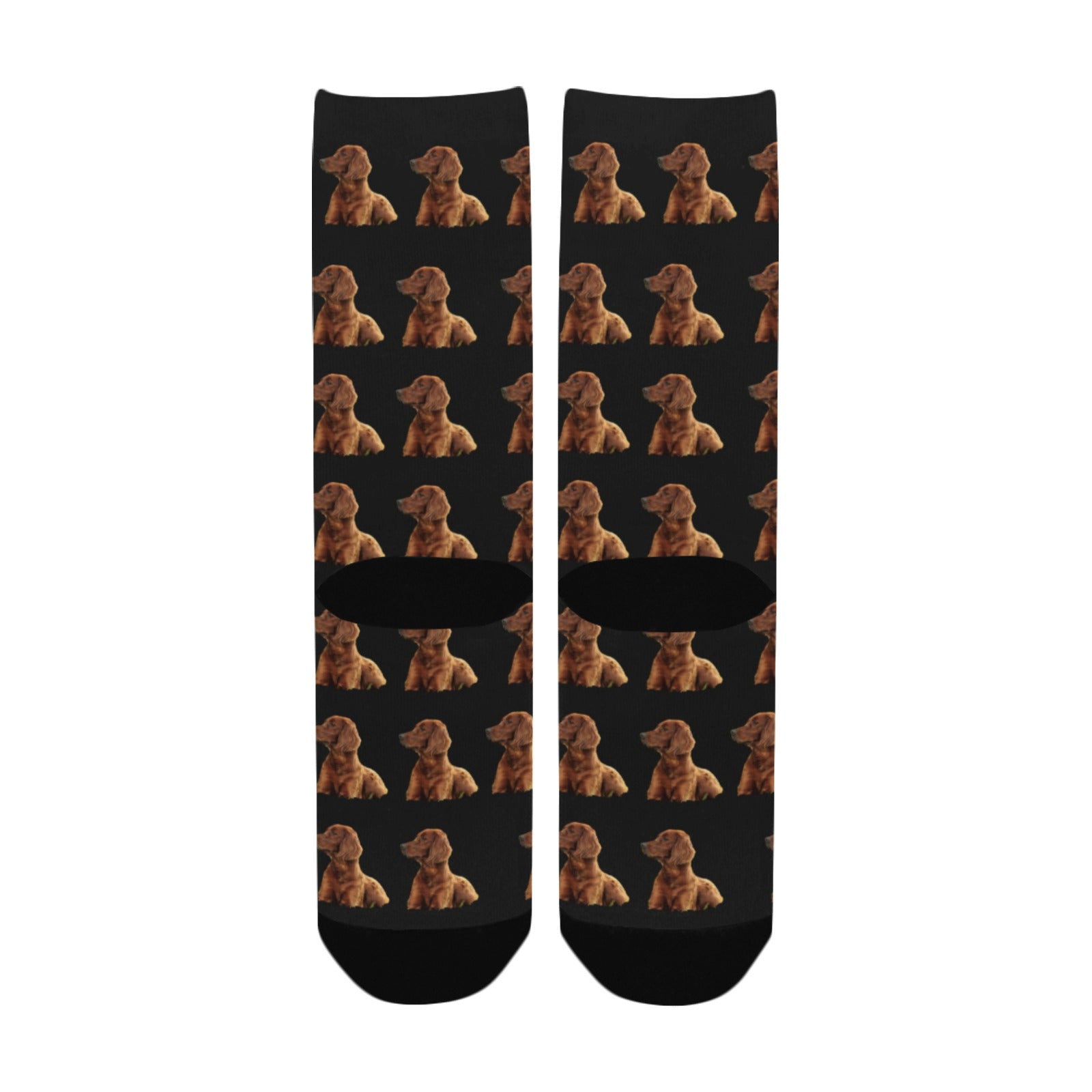 Irish Setter Socks