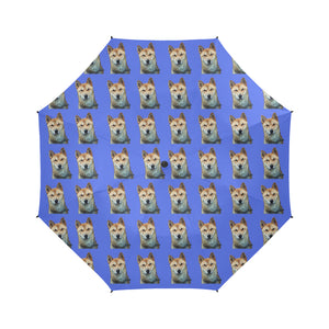 Korean Jindo Umbrella