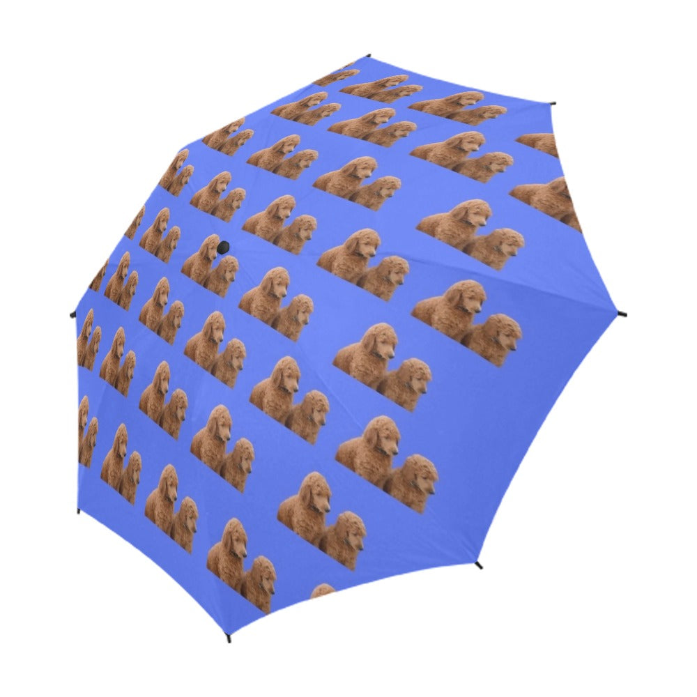 Poodle Umbrella - Brown Standard