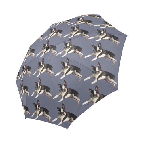 Boston Terrier Umbrella 2 Automatic
