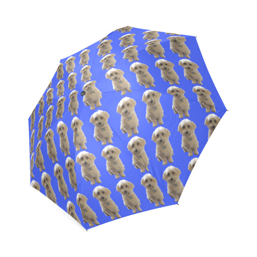 Havanese Umbrella - Blue