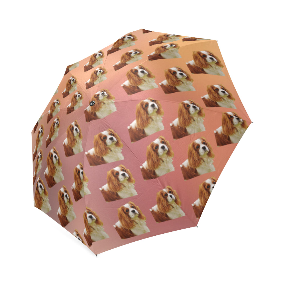 Cavalier King Charles Spaniel Umbrella