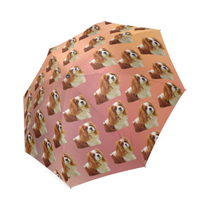 Cavalier King Charles Spaniel Umbrella