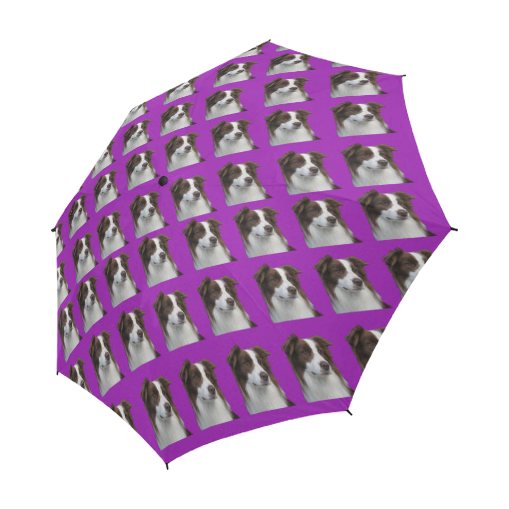 Border Collie Umbrella - Purple