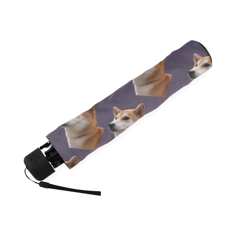 Shiba Inu Umbrella