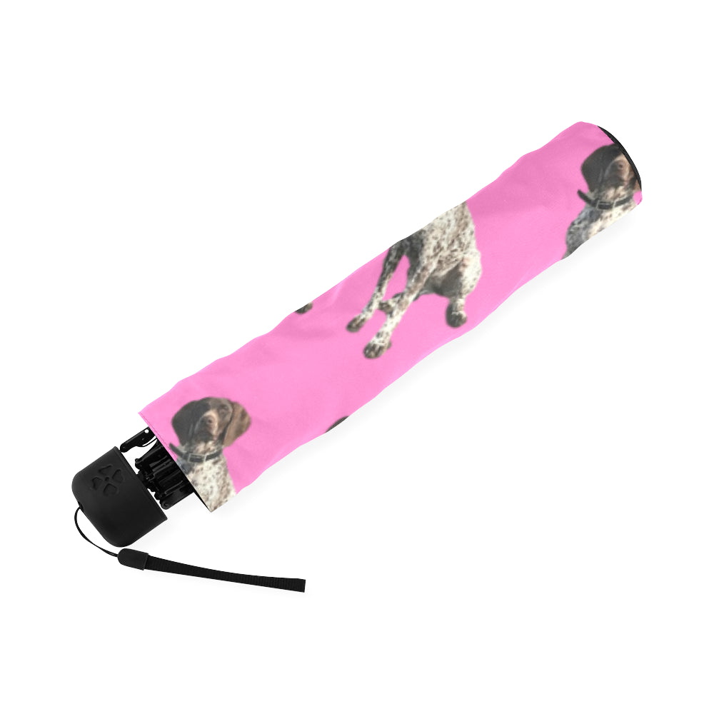 German Short Haired Pointer Umbrella - Pink