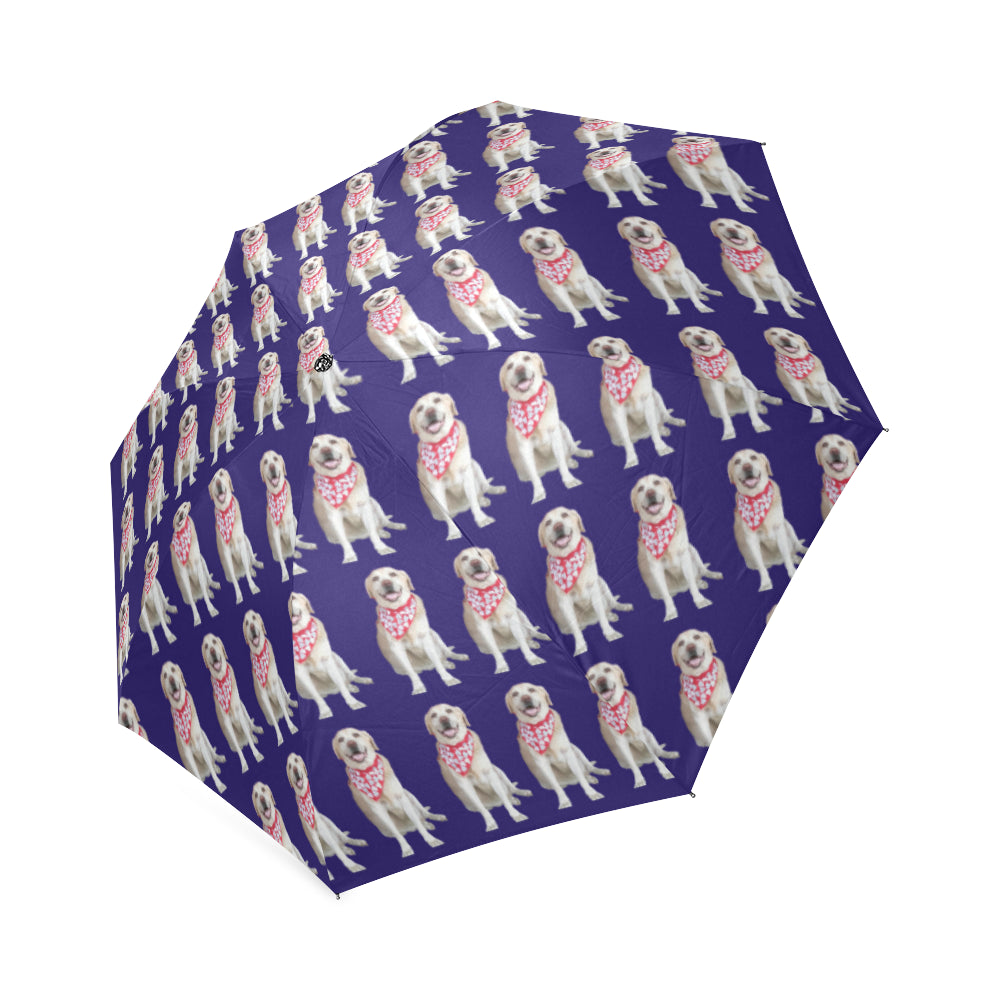 Labrador Umbrella - Blue