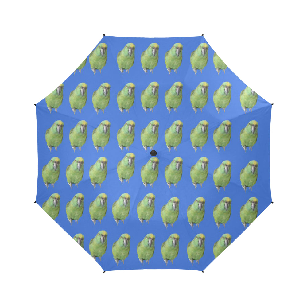 Parrot Umbrella