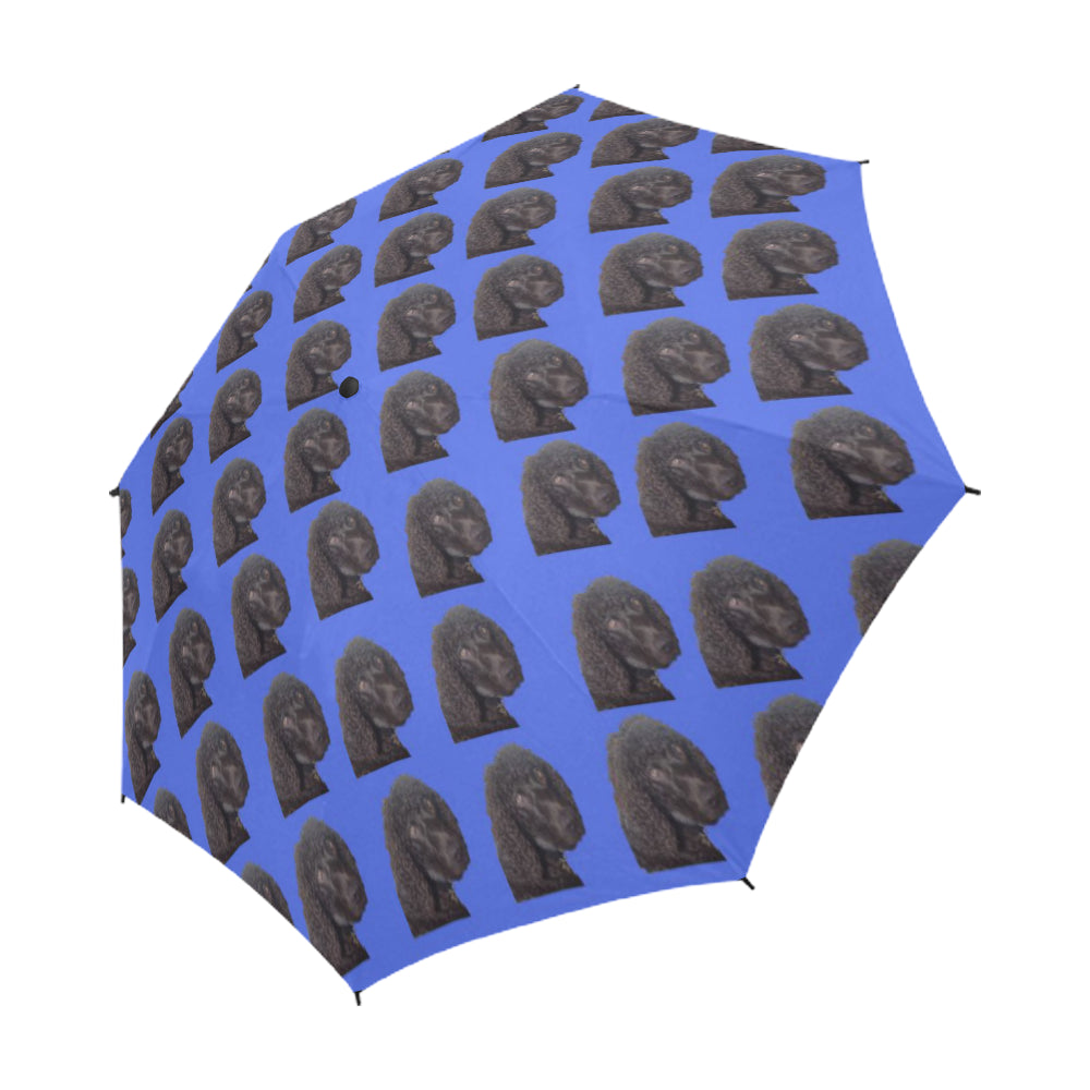 Irish Water Spaniel Umbrella
