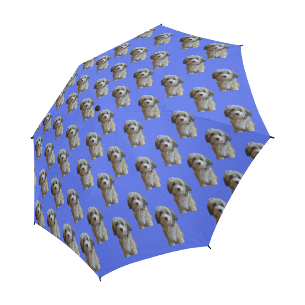 Havanese Umbrella 2