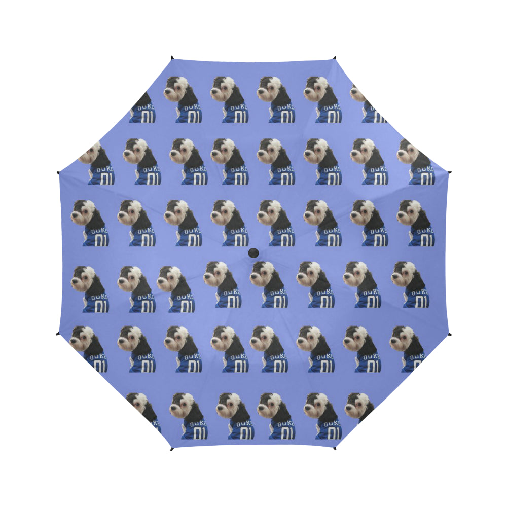 Wally Umbrella - Duke