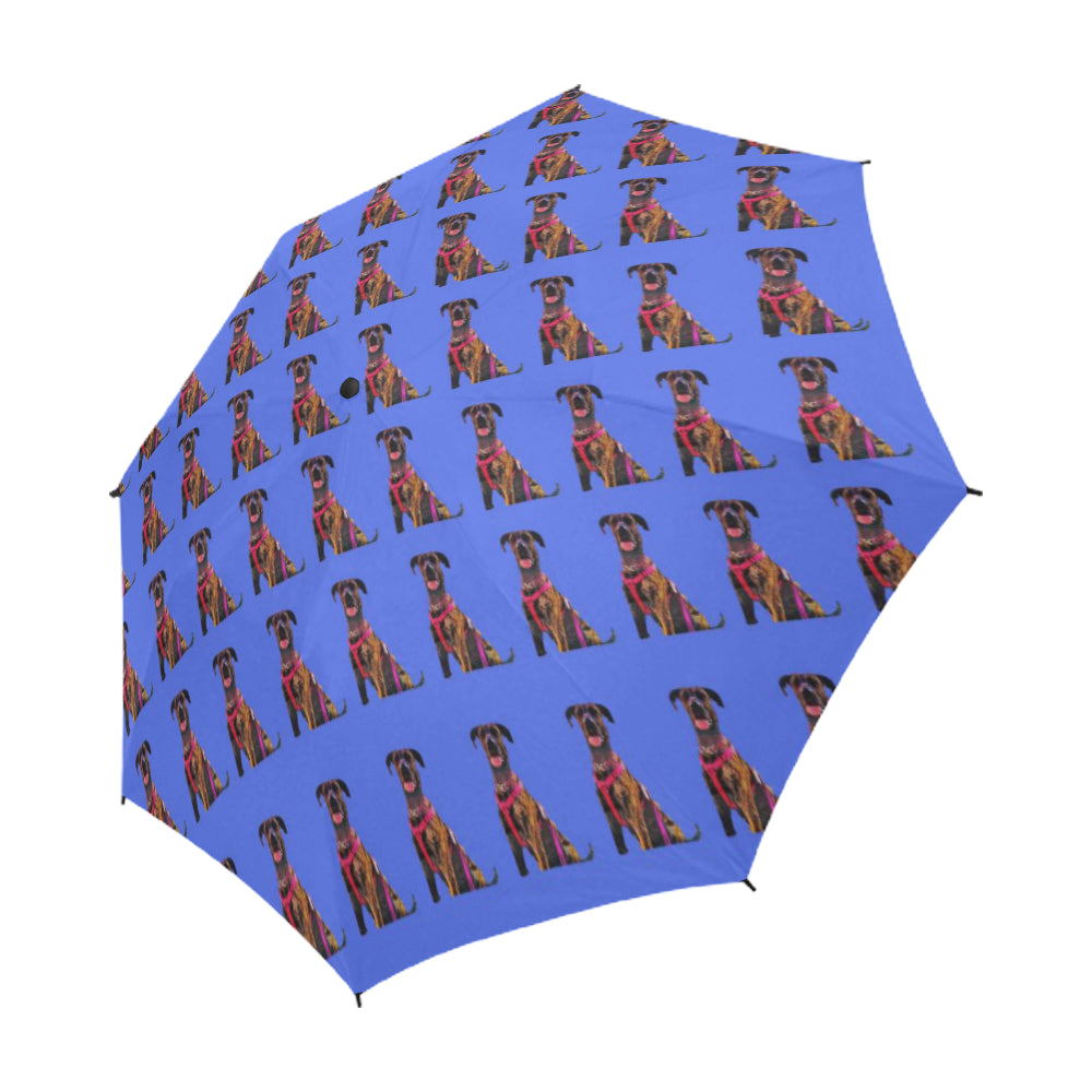 Great Dane Umbrella - Brindle