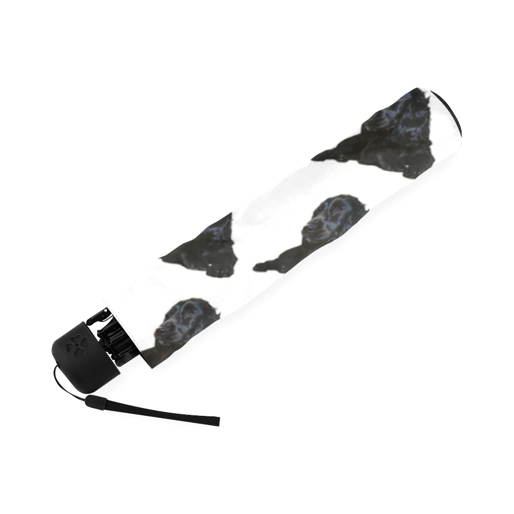 Cocker Spaniel Umbrella - Black on White