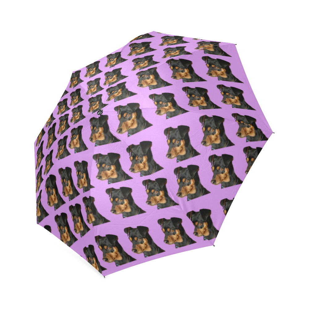 Pinscher Umbrella - Mini