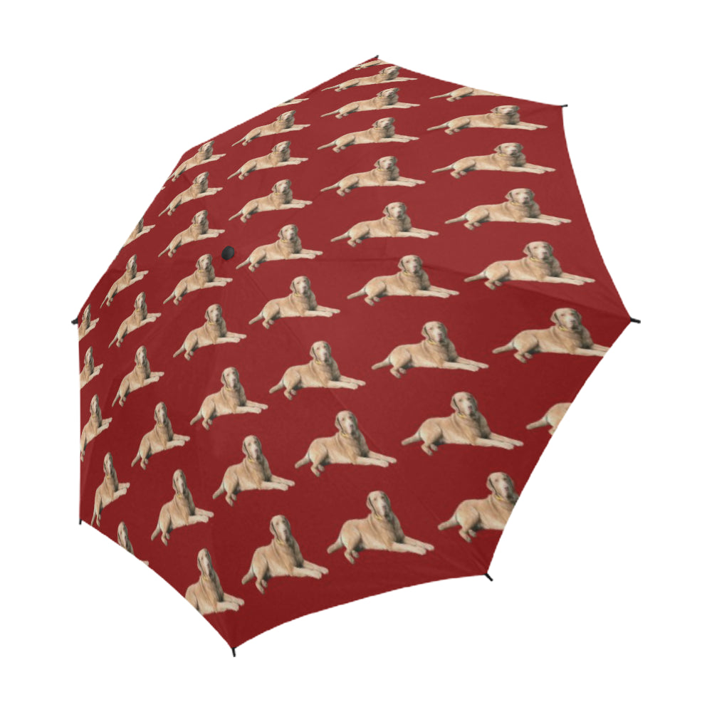 Chesapeake Bay Retriever Umbrella